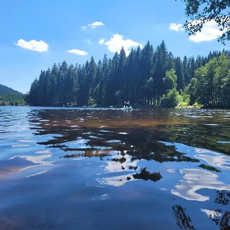 Haus Panoramablick - Storchennest, * Höchenschwand